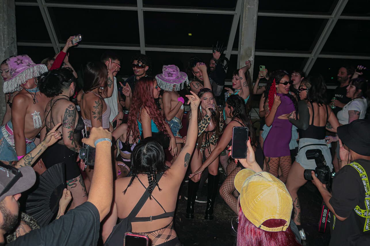 Capture in Buenos Aires, Argentina (2024): a photo of people dancing in a concert.
