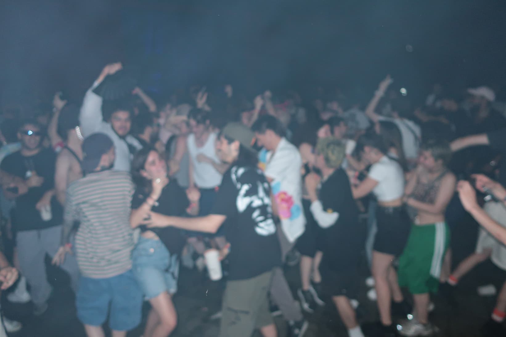 Photo of a group of people in a concert.